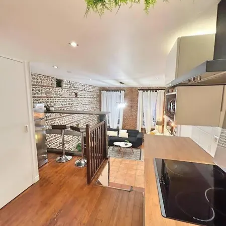 Appartement Entier - Calme Et Confortable - Centre Toulouse Exterior foto