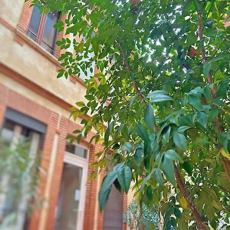 Appartement Entier - Calme Et Confortable - Centre Toulouse Exterior foto