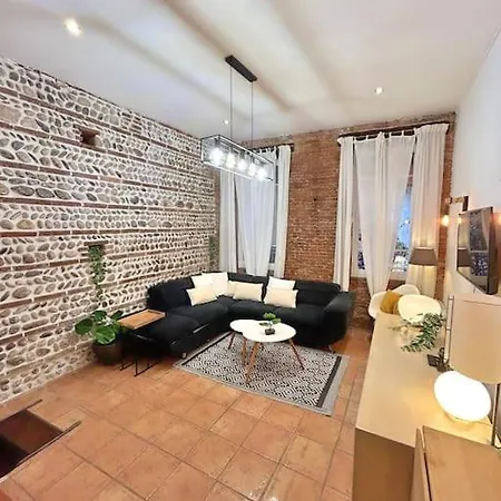 Appartement Entier - Calme Et Confortable - Centre Toulouse Exterior foto