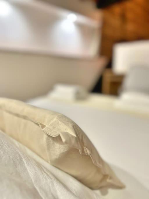 Entier - Calme Et Confortable - Centre Toulouse
