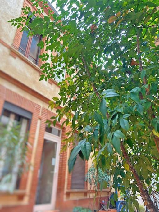 Apartment Entier - Calme Et Confortable - Centre Toulouse